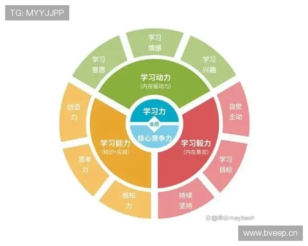 布鲁诺成长关键因素